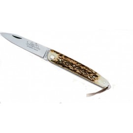 SALAMANDRA PocketKnife Olive Wood - 10011