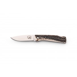 Salamandra Pocker Knife Deer Horn Aura Series - 304061