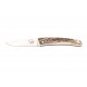 Couteau en Coune de Cerf Salamandra Eris - 311062